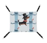DWTJKMS Hamac parisien pour chat, teckel, hamac de couchage doux réglable pour animaux domestiques, toutes saisons, utilisation pour chats, furets, chiots, lapins, petits animaux (classique)