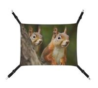 DWTJKMS Hamac pour chat et écureuil - Hamac de couchage doux réglable pour animaux domestiques - Pour toutes saisons - Pour chats, furets, chiots, lapins, petits animaux (classique)