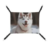 DWTJKMS Husky Piquant Hamac doux pour chien et chat - Hamac de couchage réglable pour animaux domestiques - Utilisation en toutes saisons pour chats, furets, chiots, lapins, petits animaux (classique)