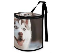 DWTJKMS Husky Piquant Poubelle de voiture avec couvercle, grande capacité à suspendre, étanche, étanche, accessoires d'intérieur