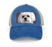 DWTJKMS Joli chapeau de sport pour chien maltais pour hommes et femmes, chapeau de cowboy creux, casquette de baseball réglable, chapeaux brodés, vêtements, cadeaux, accessoires, bleu foncé, style