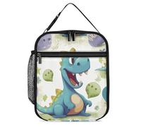 DWTJKMS Joli sac à déjeuner isotherme avec motif dinosaure - Étanche - Pour homme et femme - Avec poignée - Réutilisable - Pour bureau, travail, pique-nique