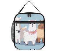 DWTJKMS Joli sac à déjeuner isotherme en alpagas, étanche pour homme et femme, avec poignée, boîte à déjeuner isotherme réutilisable pour bureau, travail, pique-nique
