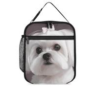 DWTJKMS Joli sac à déjeuner isotherme en forme de chien maltais, étanche pour homme et femme, avec poignée, boîte à déjeuner isotherme réutilisable pour bureau, travail, pique-nique