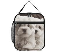 DWTJKMS Joli sac à déjeuner isotherme pour homme et femme avec poignée réutilisable pour bureau, travail, pique-nique