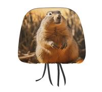 DWTJKMS Lot de 2 housses réglables et réutilisables pour appuie-tête de voiture motif marmotte dessinées à la main, accessoires d'intérieur de voiture, mignonnes et vintage, pour la plupart des