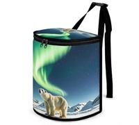 DWTJKMS Northern Lights Poubelle de voiture avec couvercle de grande capacité à suspendre, étanche, étanche, accessoire d'intérieur