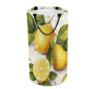 DWTJKMS Panier à linge pliable avec poignées de transport facile et motif fruits citron, grand panier de rangement pour buanderie, dortoir, famille