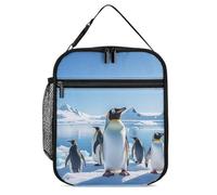 DWTJKMS Penguin Antarctica Ice Sac à déjeuner isotherme étanche pour homme et femme avec poignée réutilisable pour bureau, travail, pique-nique