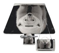DWTJKMS Polar Bear Tapis de pique-nique pliable et imperméable avec sac fourre-tout, 147,3 x 147,3 cm, couverture de camping pour plage, parc, voyage