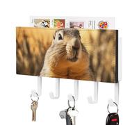 DWTJKMS Porte-clés marmotte dessiné à la main pour mur, support mural de style rustique avec 5 crochets, décoration à suspendre pour entrée ou foyer, 18 cm de large x 11,9 cm de haut