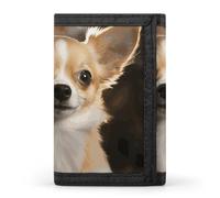 DWTJKMS Portefeuille minimaliste à trois volets pour homme Motif Chihuahua mignon Portefeuille antivol pour cartes et espèces