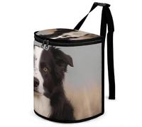 DWTJKMS Poubelle de voiture Border Collie avec couvercle, grande capacité à suspendre, étanche, étanche, accessoire d'intérieur indispensable pour les voitures