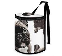 DWTJKMS Poubelle de voiture bouledogue français avec couvercle, grande capacité, à suspendre, étanche, étanche, accessoire d'intérieur indispensable pour les voitures