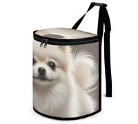 DWTJKMS Poubelle de voiture pour chien de Poméranie avec couvercle - Grande capacité - À suspendre - Étanche - Étanche - Accessoires d'intérieur indispensables pour les voitures