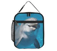 DWTJKMS Sac à déjeuner isotherme motif dauphin avec un sourire, sac isotherme étanche pour homme et femme, avec poignée, boîte à déjeuner isotherme réutilisable pour bureau, travail, pique-nique