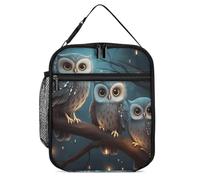 DWTJKMS Sac à déjeuner isotherme motif hibou sur un arbre - Sac isotherme étanche pour homme et femme - Avec poignée - Réutilisable - Pour bureau, travail, pique-nique