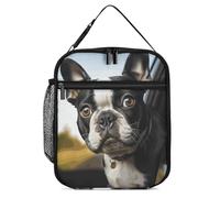 DWTJKMS Sac à déjeuner isotherme pour chien Boston Terrier - Étanche - Avec poignée - Réutilisable - Pour bureau, travail, pique-nique