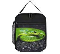 DWTJKMS The Green Snake Sac à déjeuner isotherme, étanche pour homme et femme, avec poignée, boîte à déjeuner isotherme réutilisable pour bureau, travail, pique-nique