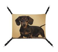DWTJKMS Un joli hamac pour chat teckel - Hamac de couchage doux réglable pour animaux domestiques - Utilisation en toutes saisons pour chats, furets, chiots, lapins, petits animaux (classique)