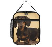 DWTJKMS Un joli sac à déjeuner isotherme en forme de teckel, étanche pour homme et femme, avec poignée, boîte à déjeuner isotherme réutilisable pour bureau, travail, pique-nique