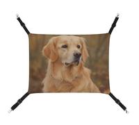 DWVSFJM Golden Retriever Hamac pour chat et animal domestique - Lit doux à suspendre avec sangles réglables et crochets en métal - Tapis chaud à suspendre pour chats, petits chiens, lapins