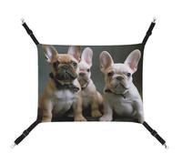 DWVSFJM Hamac à suspendre pour chat bouledogue français - Réglable - Coussin de fenêtre pour chat endormi - Lit doux pour chats, lapins ou autres petits animaux
