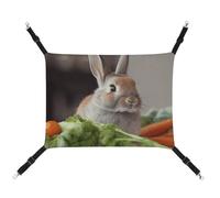 DWVSFJM Rabbit is Eating Vegetables Hamac pour chat et animal domestique Lit doux à suspendre avec sangles réglables et crochets en métal Motif tapis chaud à suspendre pour chats petits chiens lapins