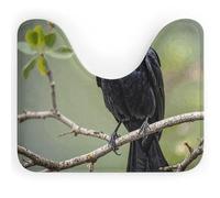 DWVSFJM Tapis de toilette en forme de U avec corbeau noir et oiseaux sur une branche, 40,6 x 50,8 cm, absorbant l'eau, séchage rapide, antidérapant, facile à nettoyer, pour baignoire, évier