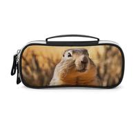 DWVSFJM Trousse à crayons en cuir PU étanche et portable avec fermeture éclair dessinée à la main pour fournitures de bureau Trousse de maquillage