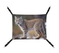 DWVSFJM Wild Bobcat Hamac pour chat - Lit doux à suspendre avec sangles réglables et crochets en métal - Tapis chaud à suspendre pour chats, petits chiens, lapins