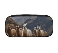 DWVTFSM Llamas in The Andes Grande trousse à crayons étanche mignonne trousse de voyage en cuir pour cosmétiques et maquillage pour homme et femme, Style :, Taille unique