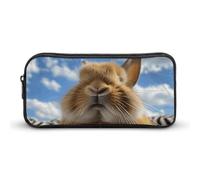 DWVTFSM Trousse à crayons avec motif lapin qui ferme ses yeux - Grande capacité - Jolie trousse de maquillage pour homme et femme