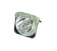 DWZSRJLW Accessoires pour projecteur de projecteur AJ-LDX4/EBT43485102 for DX420/DX420-JD/DS420/DS420-JD