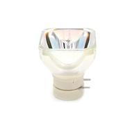 DWZSRJLW Accessoires pour projecteur de projecteur nue LMP-E211 compatible avec EX100 EX101 EX120 EX121 EW130 EX145 EX175 SW125 SW125ED3L SX125 SX125 ED3(LMP-E211 10PC)