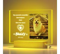 DXDOING Plaque commémorative personnalisée en Acrylique pour Animal de Compagnie avec Photo personnalisée | Veilleuse Photo personnalisée pour Chien ou Chat Bien-aimé | Cadeau de condoléances pour