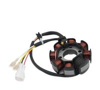 DXHSLH Stator KTM250 for K-T-M 250XC XC-W XCW 2008-2016 for Freeride 2014-2016 KTM525 EXC for Euro MXC-G 8 Bobine for stator générateur K-T-M 300CC 07-16