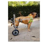 DXYOYONGOZ Chariot Chien Handicapé Chariot, Chariot réglable for Petits Chiens/Animaux de Compagnie de Taille Moyenne, Outil de Marche assisté for Chiens handicapés en métal(Size S)