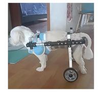 DXYOYONGOZ Chariot Chien Handicapé Chariot, Poussette en Fauteuil Roulant à 2 Roues for Pattes arrière de Chien et Chat, Voiture assistée à la mobilité for Chien handicapé(Small)