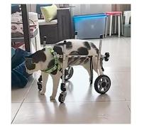 DXYOYONGOZ Fauteuil Roulant Réglable pour Chien, Aides à la mobilité for l'arthrite du Chien à Quatre Roues for la rééducation, Chariot d'entraînement Portable for attelle de Jambe Faible(Small)