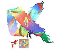 DXZXDJIU Danse du Dragon Fitness, Rubans de Fitness for Sports de Plein air for Jeunes/Adultes/Personnes âgées Fitness Folklorique Chinois Sports de Plein air Parc extérieur(Floral Patterns,10m/33ft)