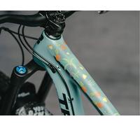 DYEDBRO Set de Films de Protection pour Cadre VTT coloré universal