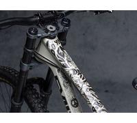 DYEDBRO Set de Films de Protection pour Cadre VTT noir universal