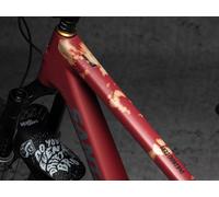 DYEDBRO Set de Films de Protection pour Cadre VTT orange universal