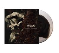 DYING WISH ‘FRAGMENTS OF A BITTER MEMORY’ LIMITED-EDITION CLEAR WITH BLACK SMASH LP - ONLY 250 MADE