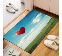 Dyjuaa Champs Verts Paillasson Entrée Intérieur 60x90 cm, Romantique Ballons Tapis Lavable en Machine Antidérapant Rugs Carpet Poil Ras Doux pour Chien, Cuisine, Porte et Couloir