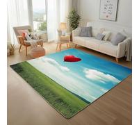 Dyjuaa Champs Verts Paillasson Entrée Intérieur 80x120 cm, Romantique Ballons Tapis Lavable en Machine Antidérapant Rugs Tapis Poil Ras Doux pour Chien, Cuisine, Porte et Couloir