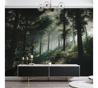 Dyjuaa Papier Peint Intissé Forêt Brumeuse Papier Peint Panoramique Jungle Plante Tapisserie Poster Mural pour Paysage Forêt Salon Chambre Décoration Murale 250x175 cm