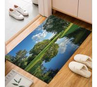 Dyjuaa Paysage Naturel Paillasson Entrée Intérieur 60x90 cm, Herbe Verte Arbre Rivière Tapis Lavable en Machine Antidérapant Rugs Carpet Poil Ras Doux pour Chien, Cuisine, Porte et Couloir