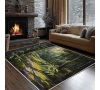 Dyjuaa Paysage Naturel Paillasson Entrée Intérieur 80x120 cm, Forêt Vert Rayons de Soleil Tapis Lavable en Machine Antidérapant Rugs Tapis Poil Ras Doux pour Chien, Cuisine, Porte et Couloir